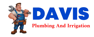 Trusted plumber in PINON